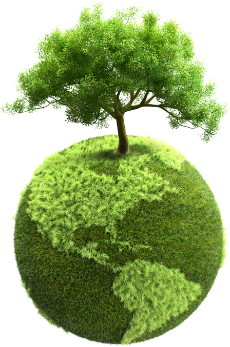 articoli legno ecologia articoli legno ecologia