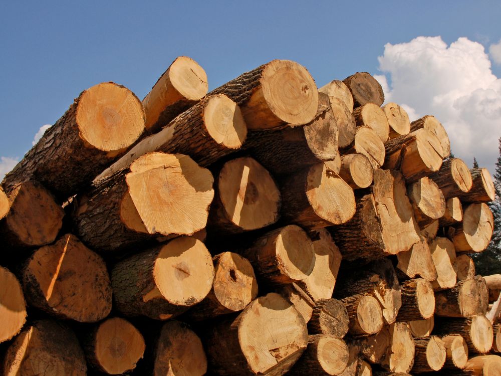 Sostenibilità e articoli in legno